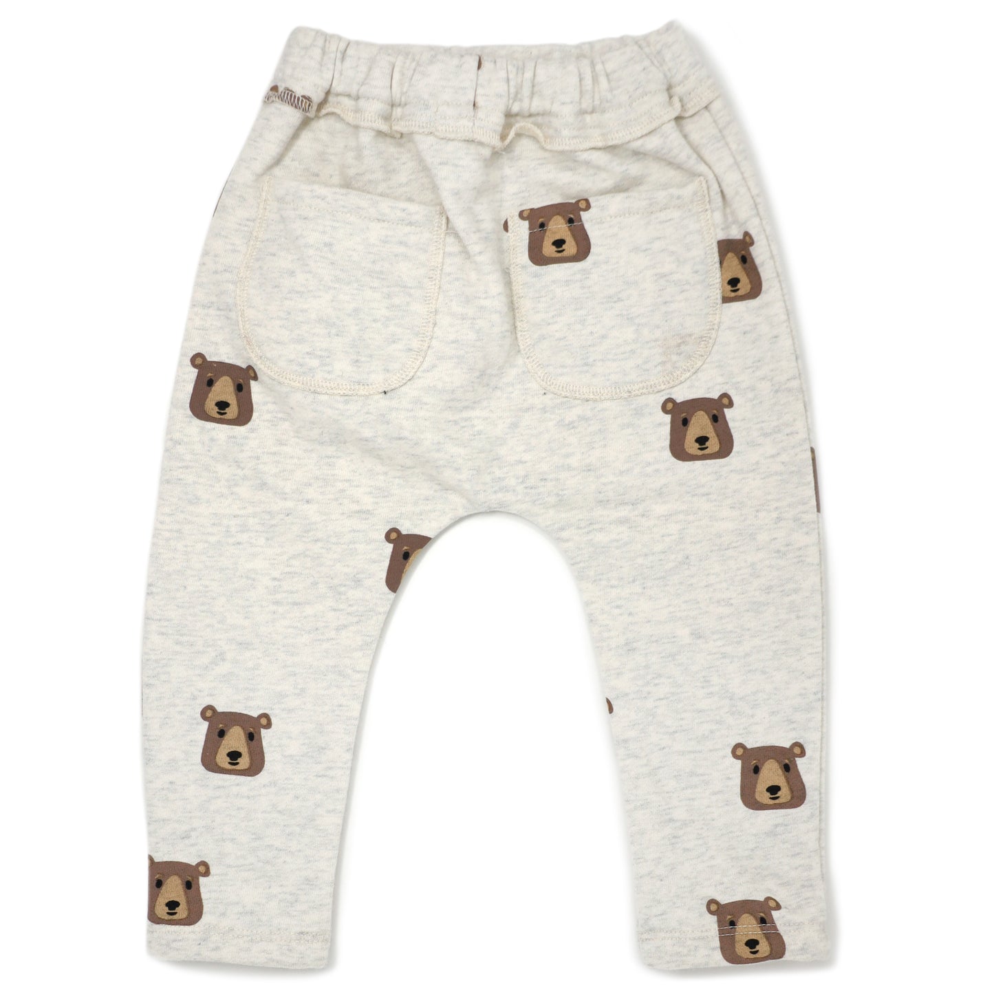 Brown Bear Faces Brooklyn Jogger