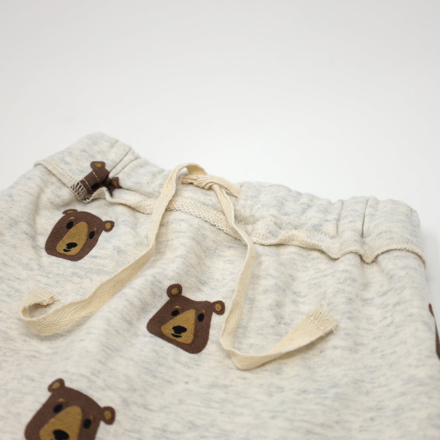 Brown Bear Faces Brooklyn Jogger