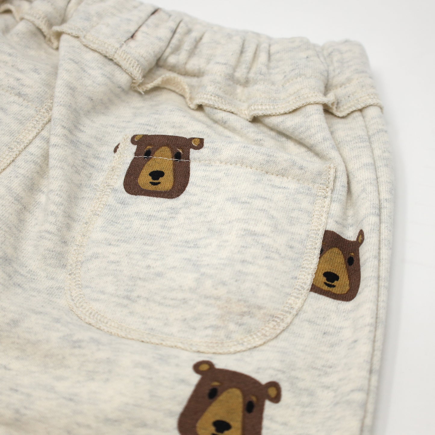 Brown Bear Faces Brooklyn Jogger