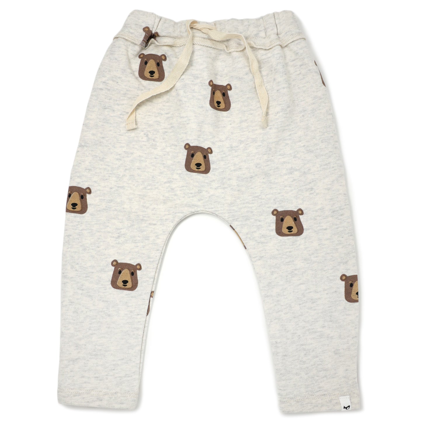 Brown Bear Faces Brooklyn Jogger