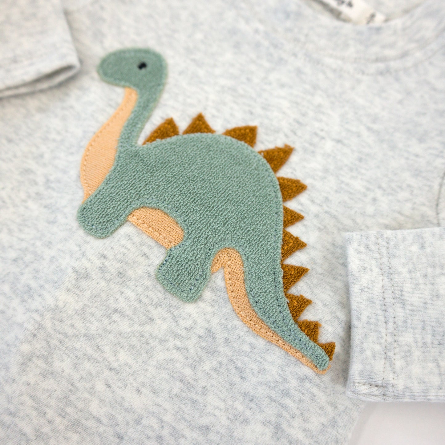 Dinosaur Terry Applique 2pc Set