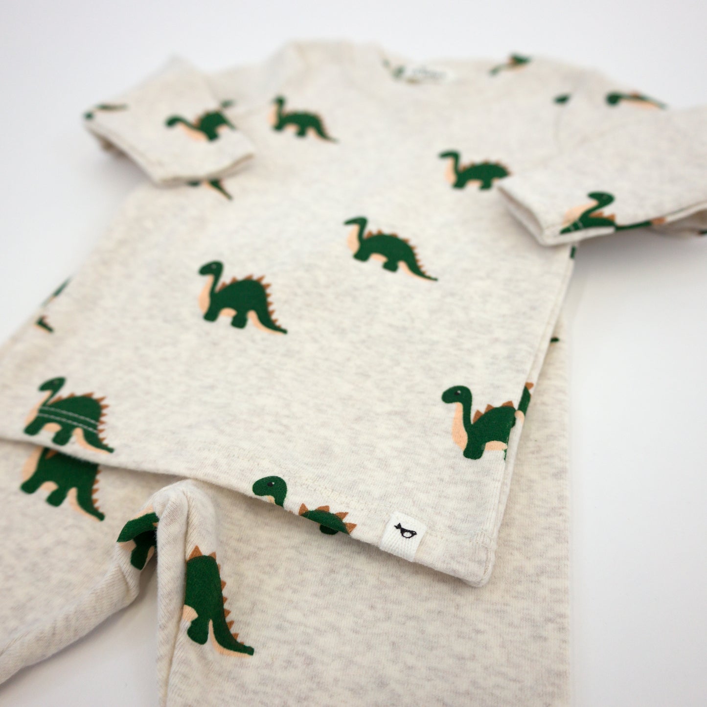 Dinosaur Print 2pc Set