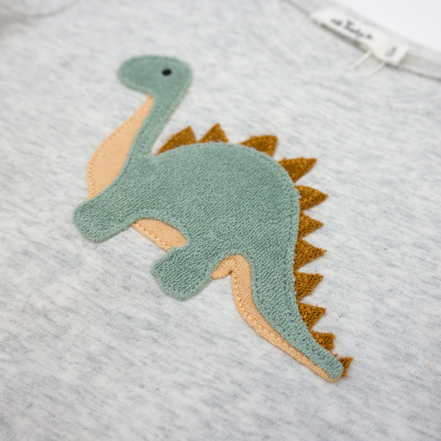 Dinosaur Terry Applique Raw Edge Tee