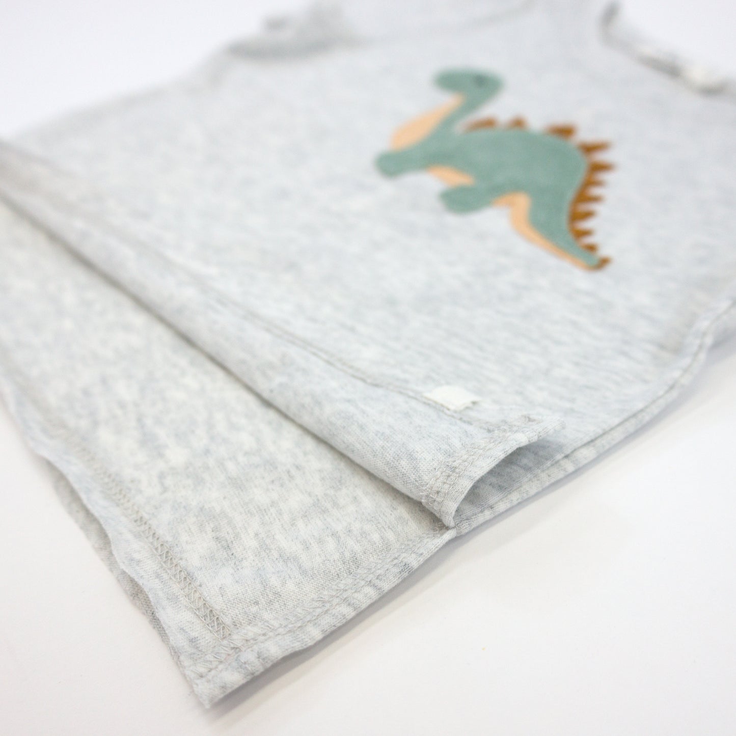 Dinosaur Terry Applique Raw Edge Tee