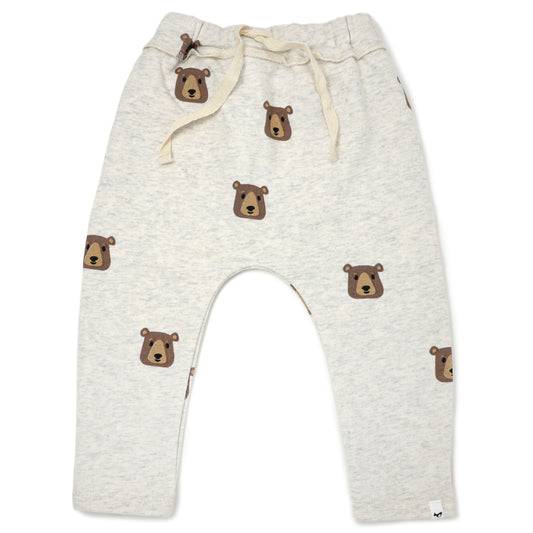 Brown Bear Faces Brooklyn Jogger